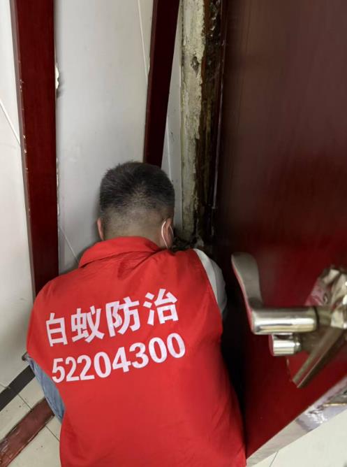 栖霞区某公司门框白蚁防治