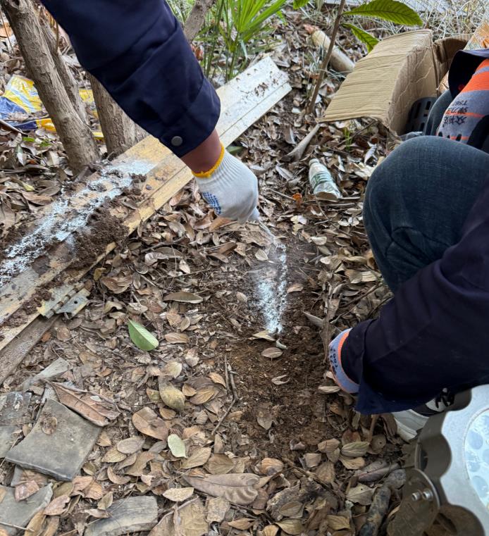 户外白蚁防治